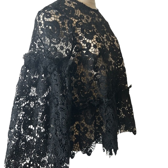 H&M Black Embroidered Lace Ruffle Long Balloon Sleeve Sheer Blouse Women Size 6 - Picture 10 of 16
